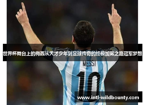 世界杯舞台上的梅西从天才少年到足球传奇的终极加冕之路冠军梦想