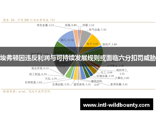 埃弗顿因违反利润与可持续发展规则或面临六分扣罚威胁